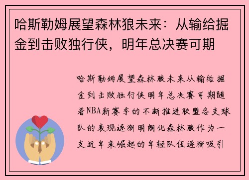 哈斯勒姆展望森林狼未来：从输给掘金到击败独行侠，明年总决赛可期