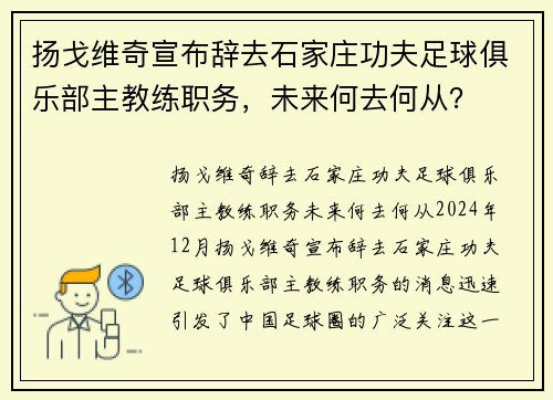 扬戈维奇宣布辞去石家庄功夫足球俱乐部主教练职务，未来何去何从？