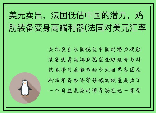 美元卖出，法国低估中国的潜力，鸡肋装备变身高端利器(法国对美元汇率)