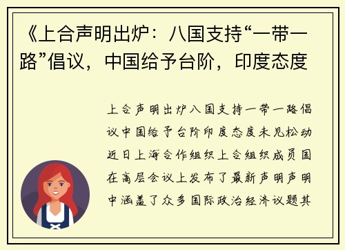 《上合声明出炉：八国支持“一带一路”倡议，中国给予台阶，印度态度未见松动》